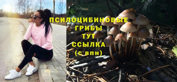 прущие грибы Россошь