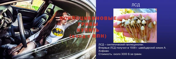 прущий лед Армянск